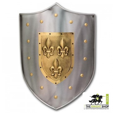 Fleur De Lys Coat of Arms Shield