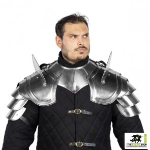 Fantasy Knight Pauldrons 20g